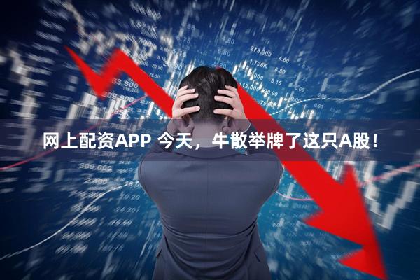 网上配资APP 今天，牛散举牌了这只A股！