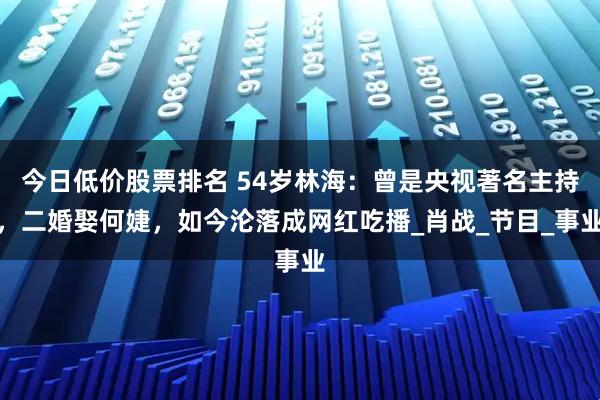 今日低价股票排名 54岁林海：曾是央视著名主持，二婚娶何婕，如今沦落成网红吃播_肖战_节目_事业