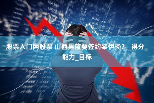 股票入门网股票 山西男篮要签约黎伊扬？_得分_能力_目标
