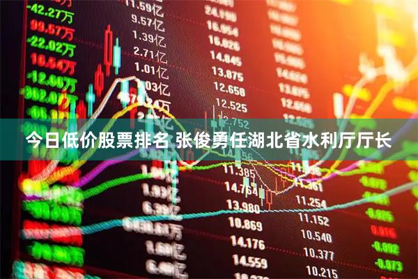 今日低价股票排名 张俊勇任湖北省水利厅厅长