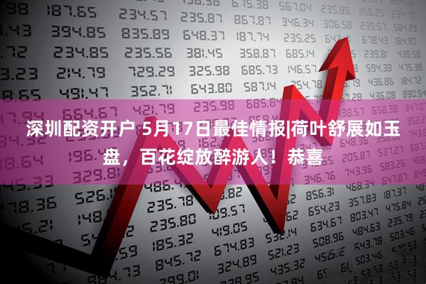 深圳配资开户 5月17日最佳情报|荷叶舒展如玉盘，百花绽放醉游人！恭喜